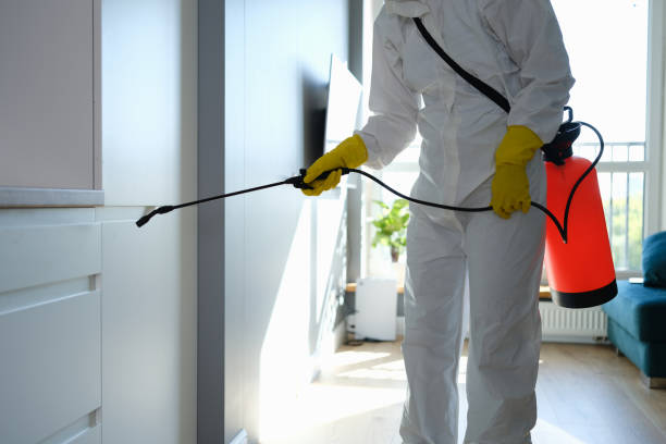 Best Health and Safety Mold Remediation in One Loudoun, VA